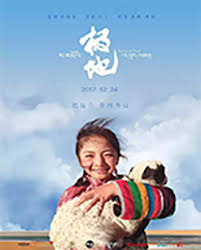 退婚后，陆总每天求复合 封面图